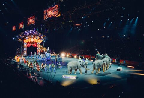 circus-828680_1920